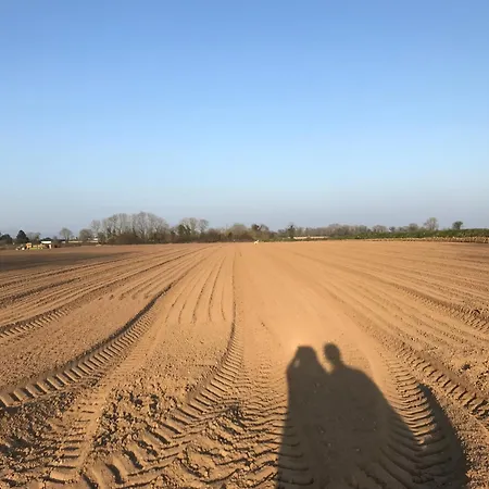 Affittacamere Grove House Country *