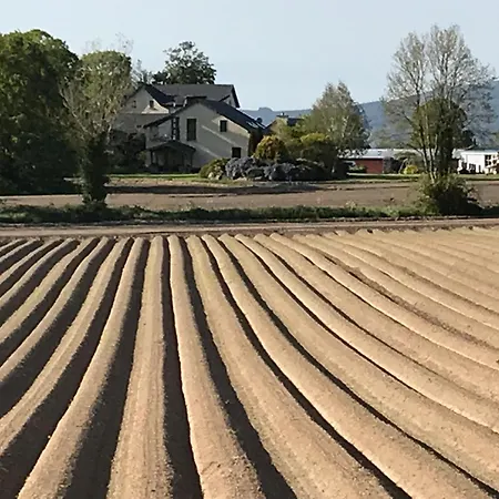 Grove House Country * Shanballymore