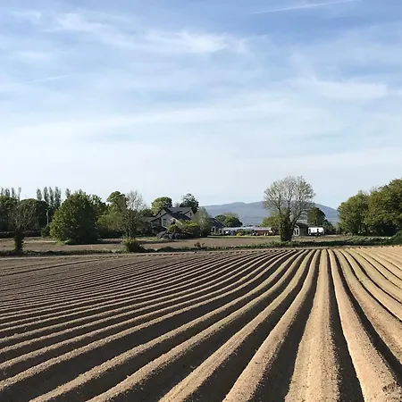 Grove House Country Affittacamere