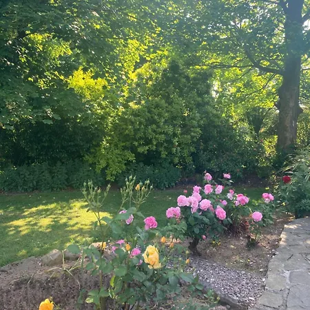 Grove House Country Affittacamere