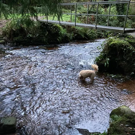 招待所 Grove House Country *