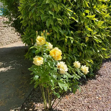 Grove House Country *