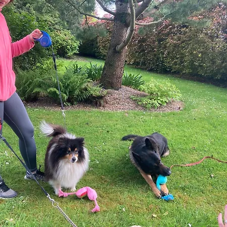 Affittacamere Grove House Country