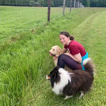 Grove House Country Affittacamere