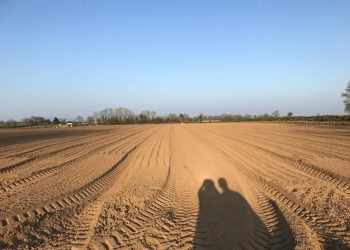 Pensión Grove House Country *