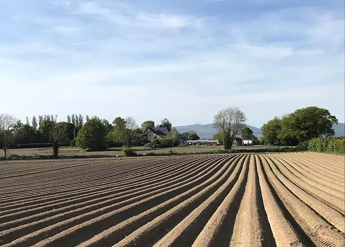 Grove House Country Pensión