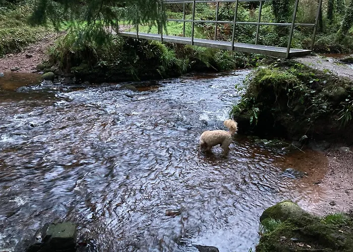 Pensión Grove House Country *