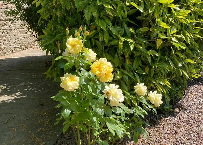 Grove House Country *