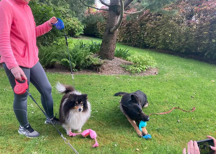 Pensión Grove House Country