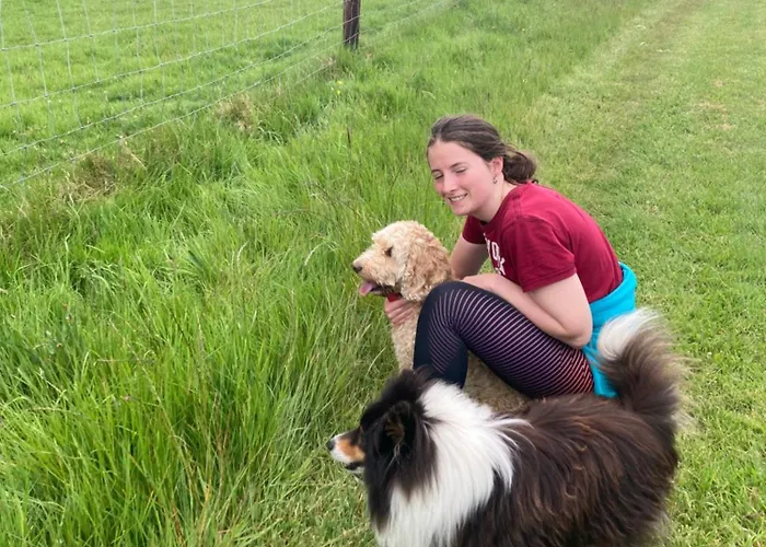 Grove House Country Pensión