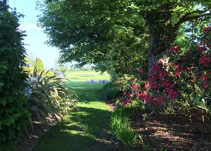 Grove House Country Pensión Shanballymore